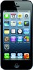 Apple iPhone 5 64GB - Киселёвск